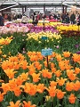 Keukenhof